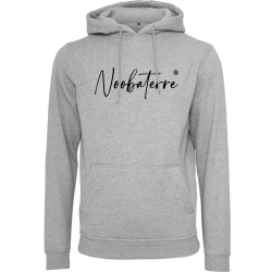 Sweat à capuche gris brodé Noobaterre