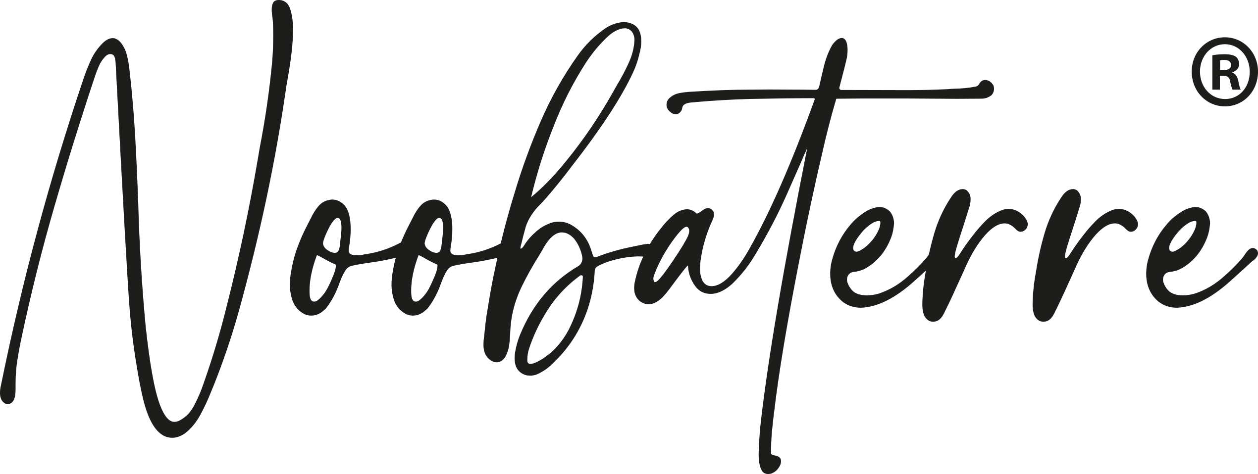 Noobaterre ®